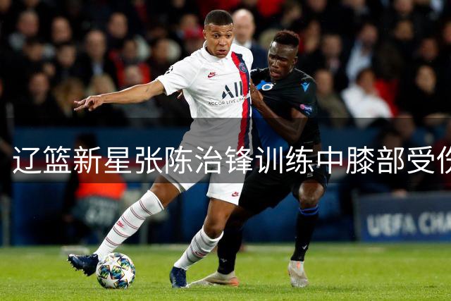 辽篮新星张陈治锋训练中膝部受伤 将缺席近期热身赛事